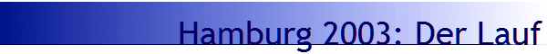 Hamburg 2003: Der Lauf